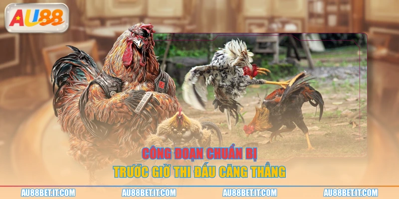 Công đoạn chuẩn bị trước giờ thi đấu căng thẳng